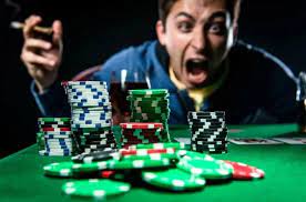 Вход на официальный сайт AVOCADO CASINO